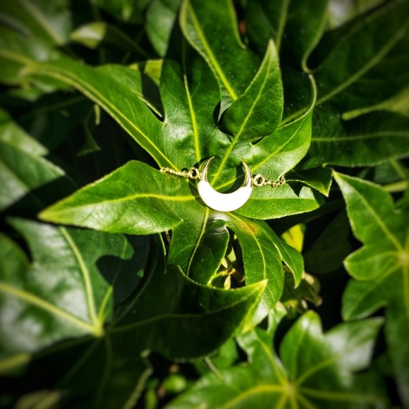 18K Moon Natural Shell Crescent Moon Bracelet - Picture 3 of 4